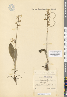 LE 01030170