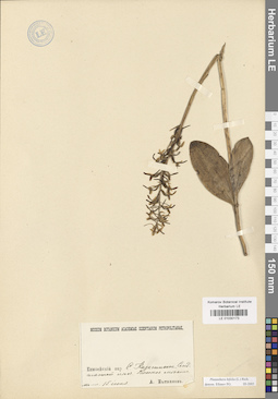 LE 01030173