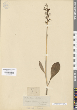 LE 01030176
