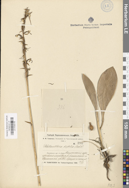 LE 01030178
