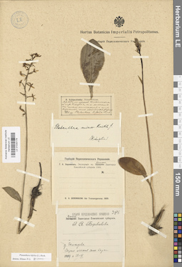 LE 01030179