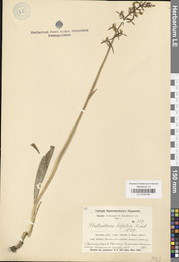 LE 01030180