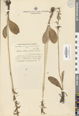 LE 01030182