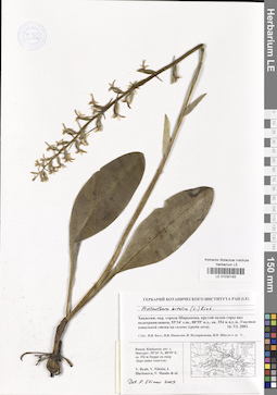 LE 01030183