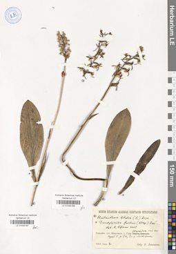 LE 01030188