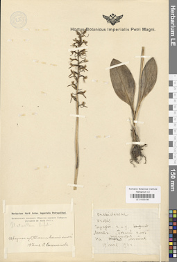 LE 01030190