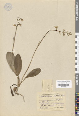 LE 01030191