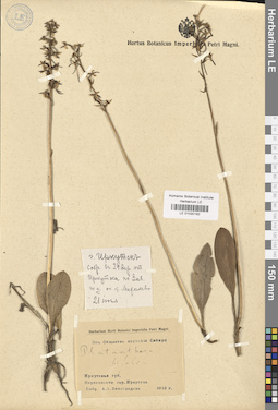 LE 01030192