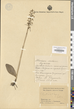 LE 01030193