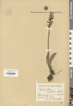 LE 01030197
