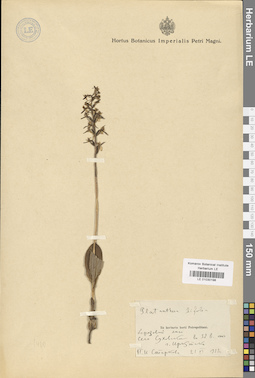 LE 01030198