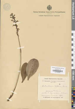 LE 01030202