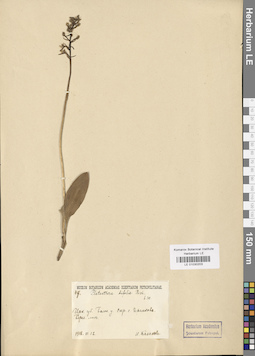 LE 01030203