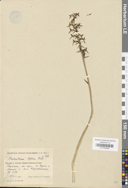 LE 01030205