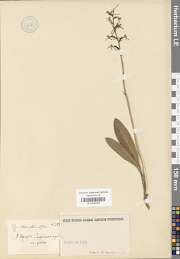 LE 01030209