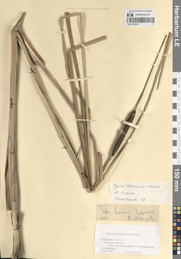 LE 01270814