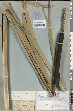 LE 01270836