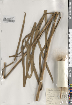 LE 01270843