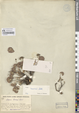 LE 01281180