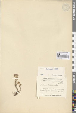 LE 01281191