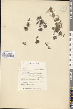 LE 01281193