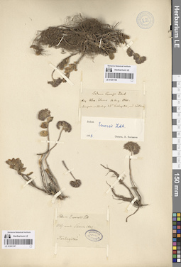 LE 01281197
