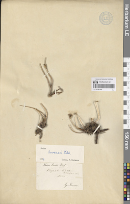 LE 01281205