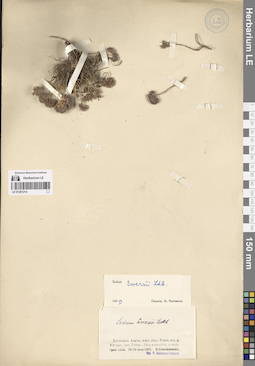 LE 01281214