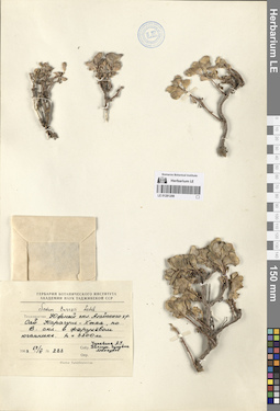 LE 01281298