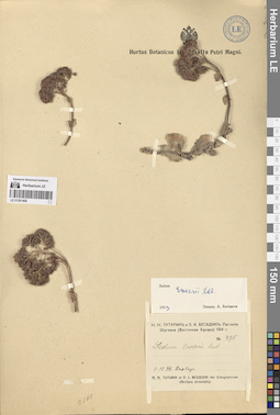 LE 01281408