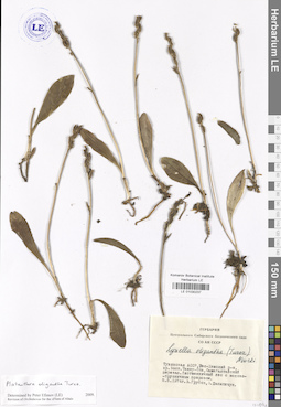 LE 01030237