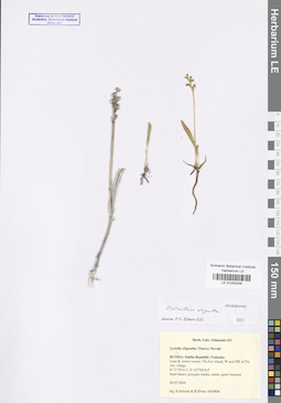 LE 01030248
