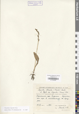 LE 01030250