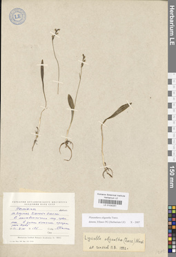 LE 01030251