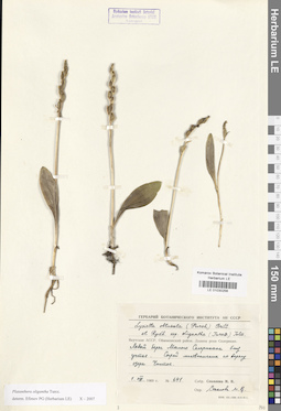 LE 01030256