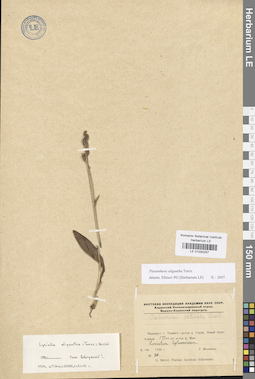 LE 01030257