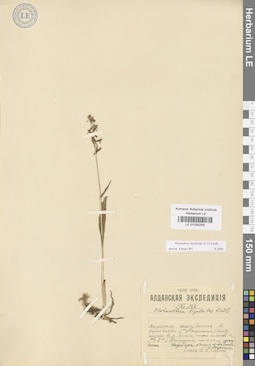 LE 01030259
