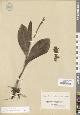 LE 01030262