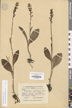 LE 01030263