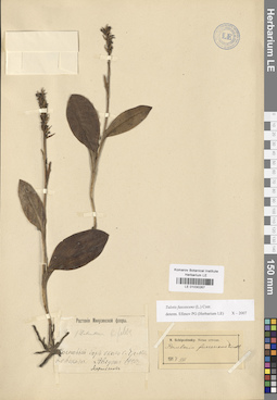 LE 01030267