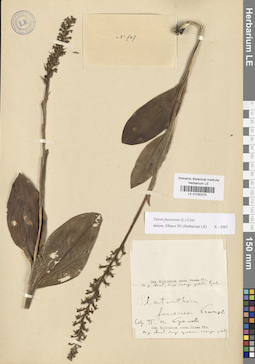 LE 01030270