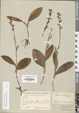 LE 01030272