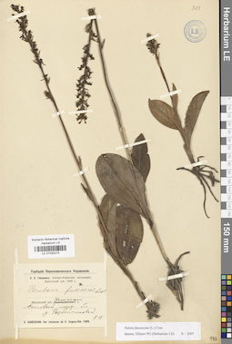 LE 01030273