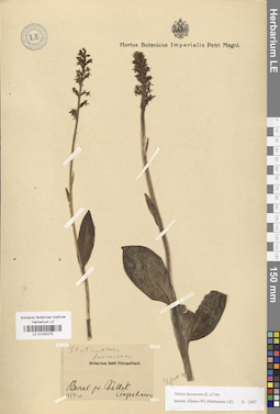 LE 01030275