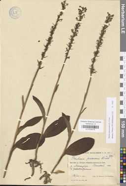 LE 01030276