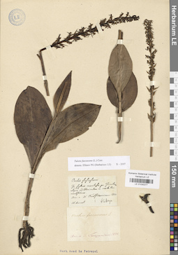 LE 01030277