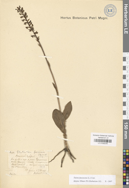 LE 01030278