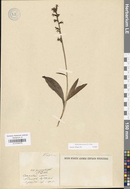 LE 01030279