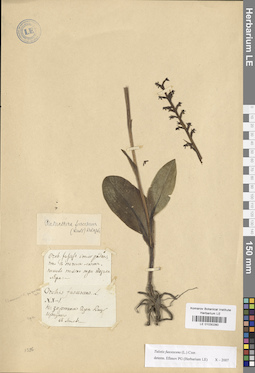 LE 01030280