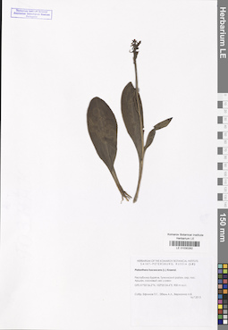 LE 01030282